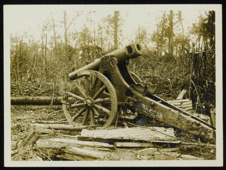 Captured German gun in Mametz wood, Bestanddeelnr 158-0184