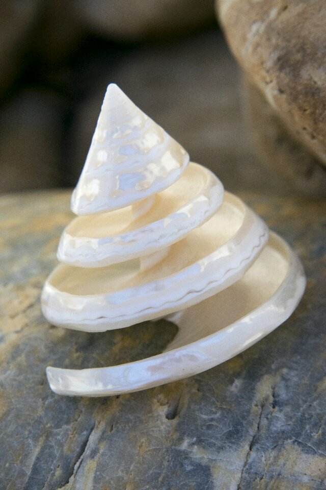 Sea mussel sea shell