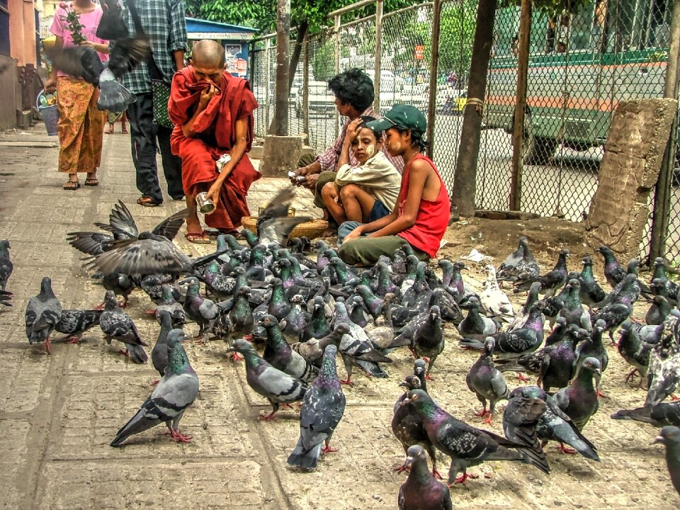 Myanmar buddhism boy