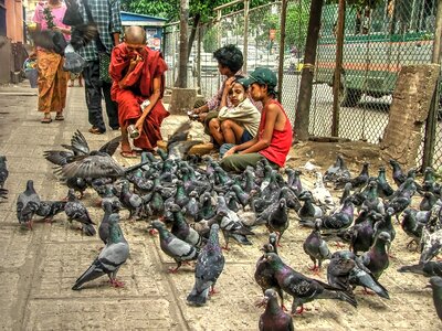 Myanmar buddhism boy