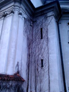 Camaldolese Monastery in Warsaw - Church 23