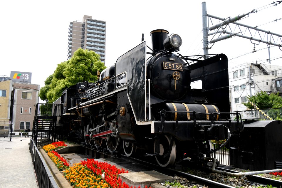 C57 66 in Iriarai Nishi Park