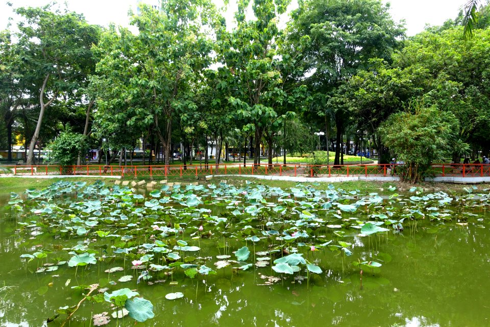 Công Viên 23 Tháng 9 - Ho Chi Minh City, Vietnam - DSC01080