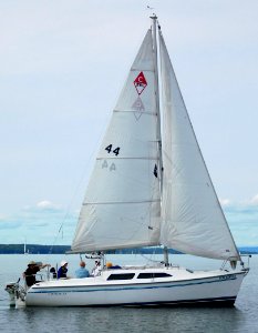 Catalina 250 sailboat Cashalo 2652