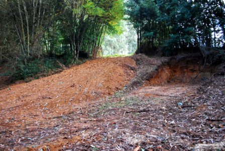 Castro da Revolta Narón acceso ao monte