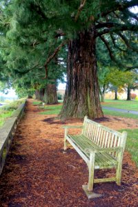 Campus view - Mount Angel Abbey - Mount Angel, Oregon - DSC09943
