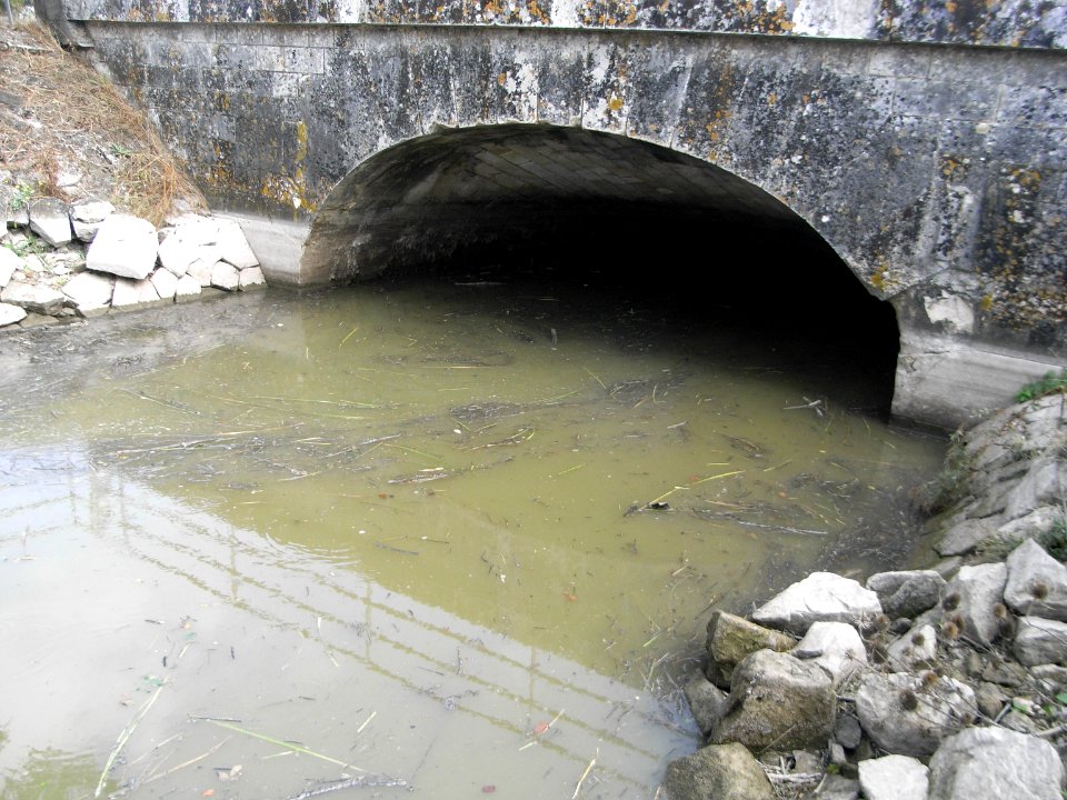 Canal Marans LaRochelle 028