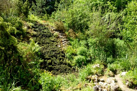 Cascade - Prior Park - Bath, England - DSC09735