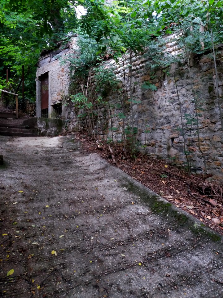 Caluire-et-Cuire - Montée de la Sœur Vially, chemin et porte ancienne (1)