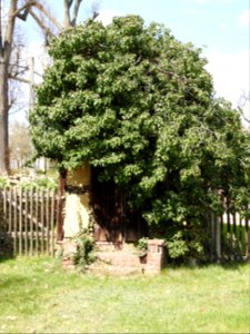 Cemetery Schönbach, Greiz 3