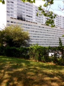 Caluire-et-Cuire - Parc de la Jeunesse, vue sur des traces d'incendie (2)