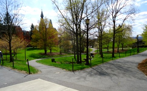 Campus setting trees and pathways at Cornell University