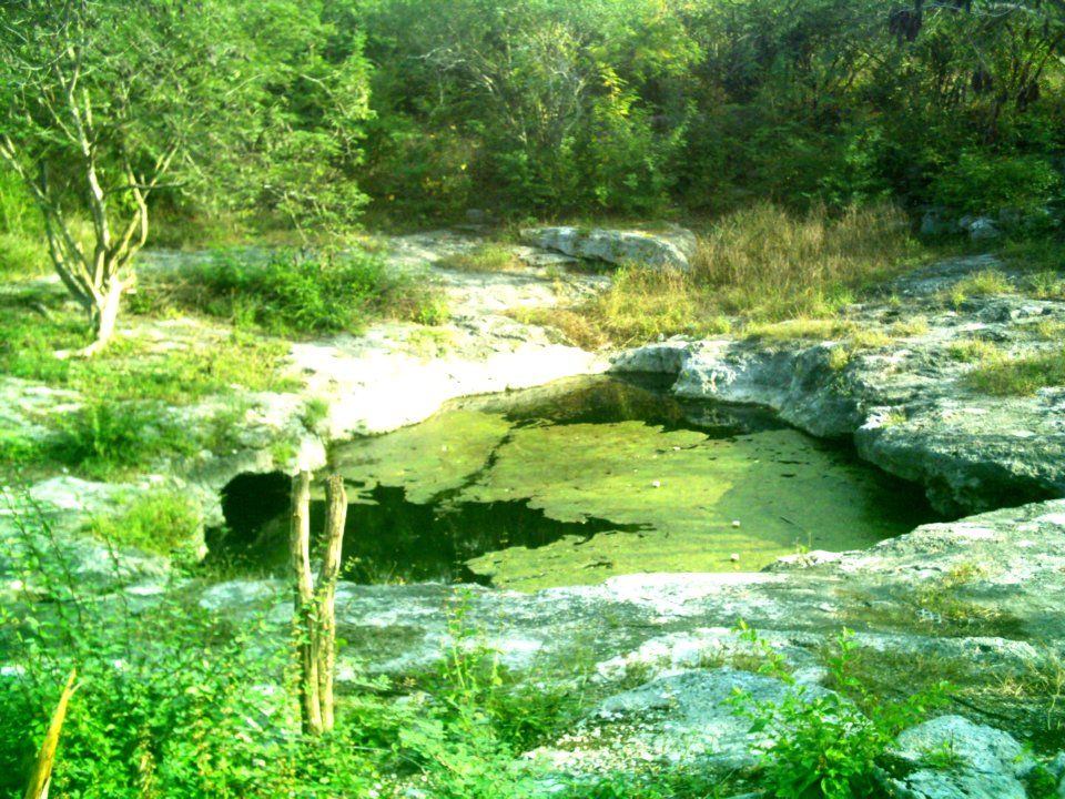 Cenote Chen Ha (08)