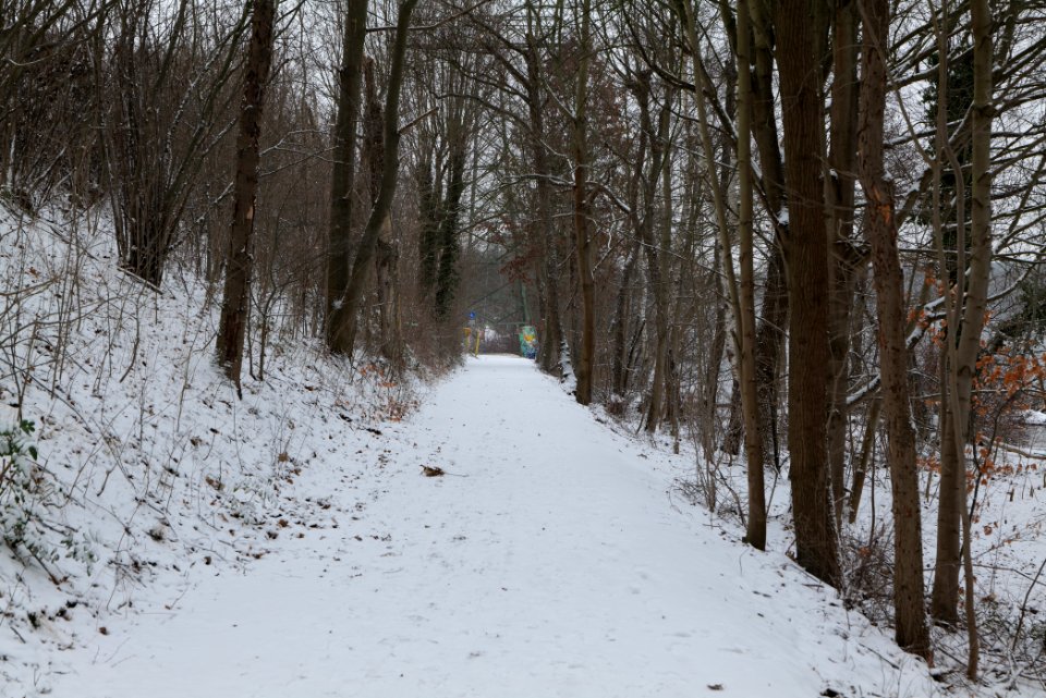Causeway Templiner See with snow 2021-02-07 09