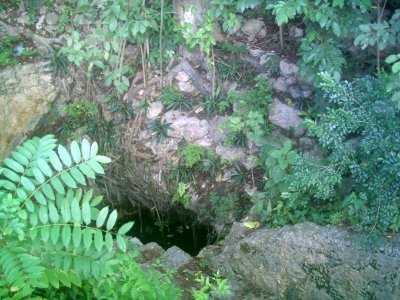 Cenote del Parque de Cholul, Yucatán (01)