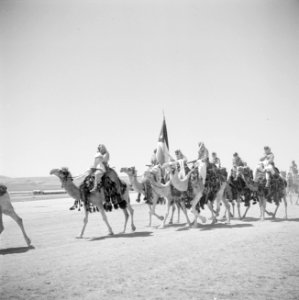 Cavalerie op dromedarissen van de koninklijke erewacht bij een generale repetiti, Bestanddeelnr 255-5089