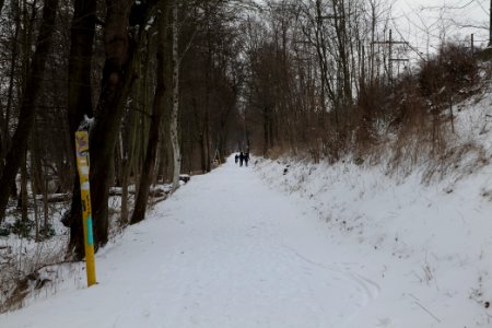 Causeway Templiner See with snow 2021-02-07 02