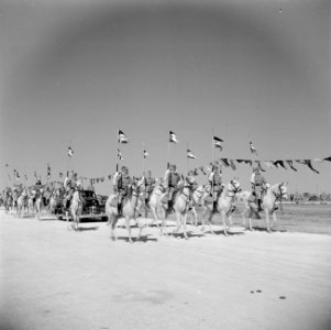 Cavalerie te paard van de koninklijke erewacht bij een parade, Bestanddeelnr 255-5084