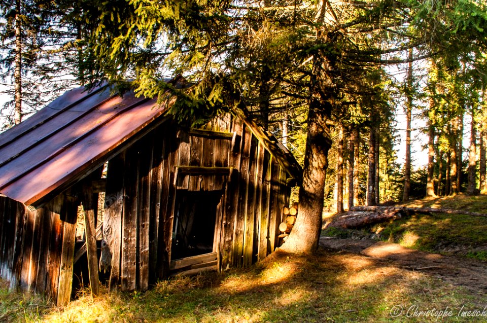 Cabane Abandonnée (185276093)