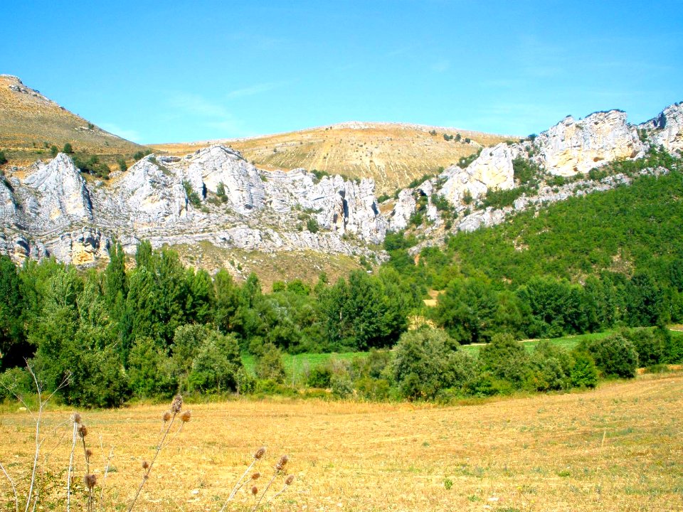 Cañada del Rudrón 68