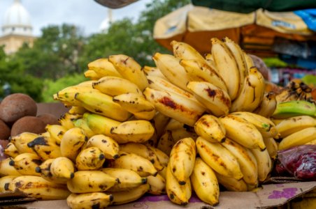Bunch of bananas on sale