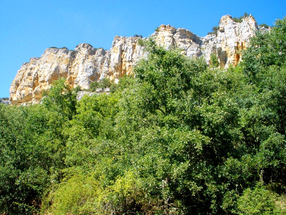 Cañada del Rudrón 63