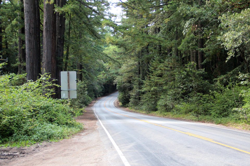 CA SR 35 at Purisima Creek Redwood, Aug 2019