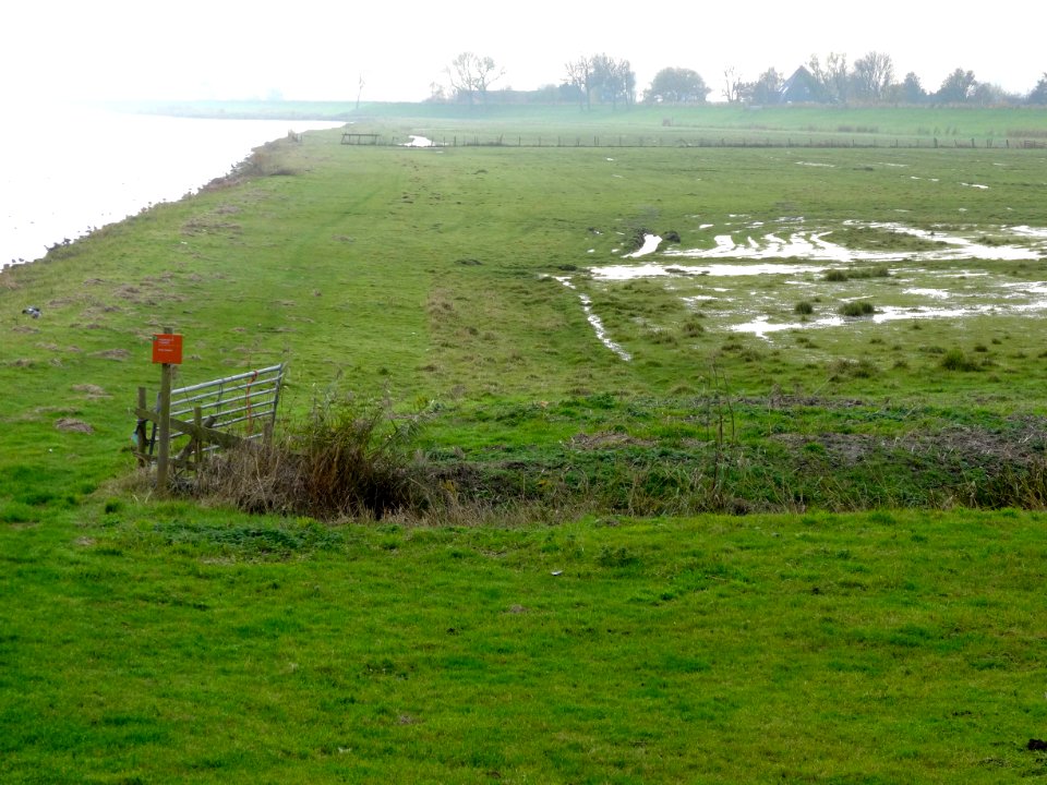 Buitendijksland nabij Oostergouw