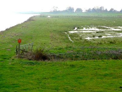 Buitendijksland nabij Oostergouw