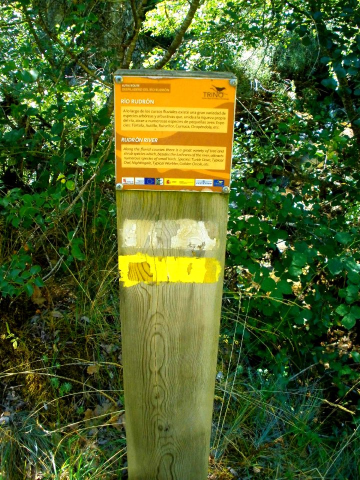 Cañada del Rudrón 59