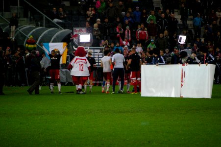 Bundesliga FC Red Bull Salzburg vs SC Wiener Neustadt 25
