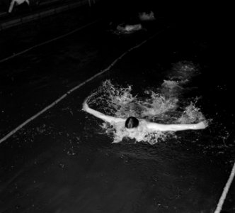 C Pitton in actie, vlinderslag, Bestanddeelnr 907-6852