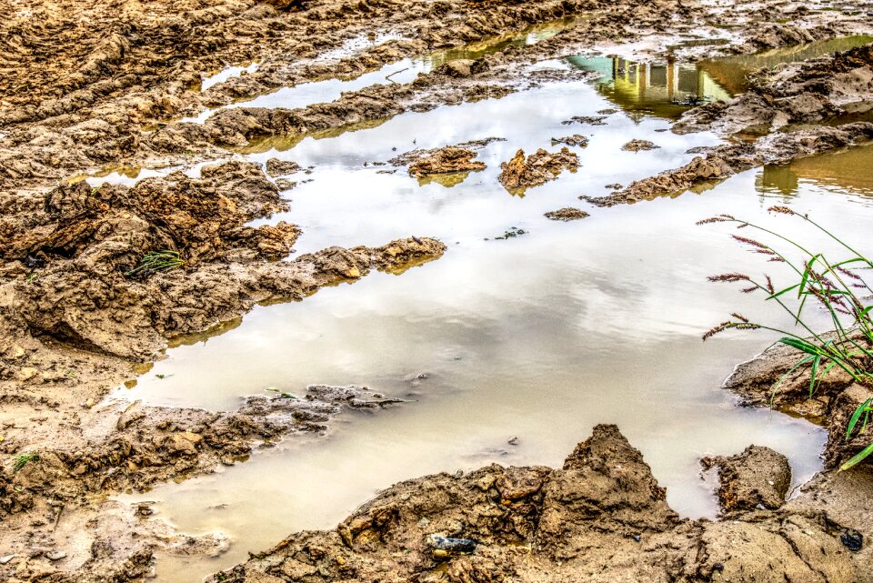 Water puddle mirroring reflection