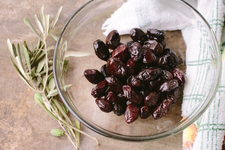 Snack species food