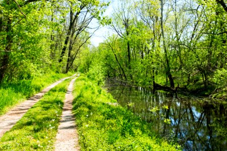 C and O Canal 9 Mile Level above Whites Ferry below 37 Mile Mark