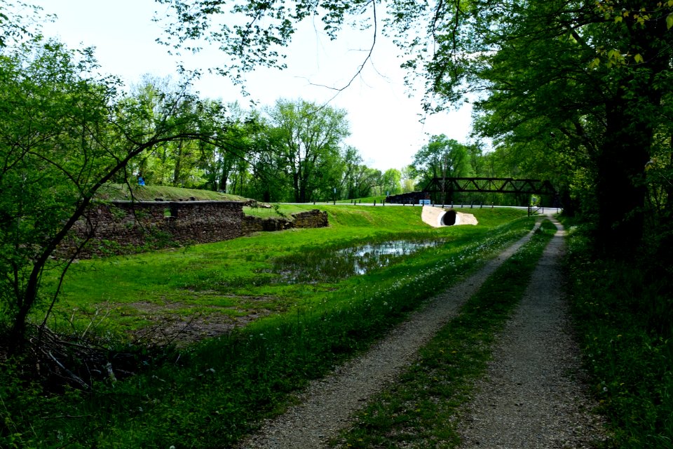 C and O Canal at Whites Ferry