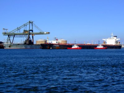 C Triumph 16, Mississippi harbour, Port of Rotterdam, Holland 29-Aug-2007