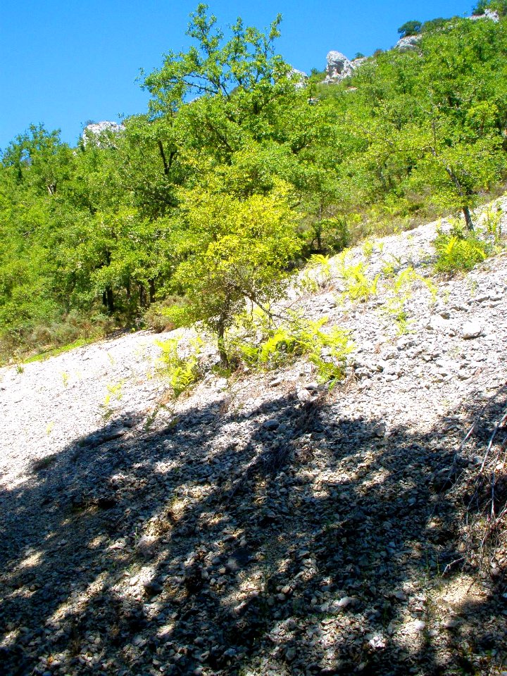 Cañada del Rudrón 16