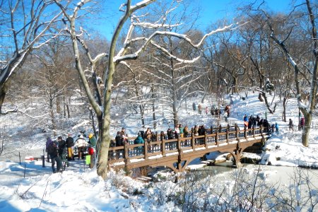 Cabinet Bridge CP snow sun jeh