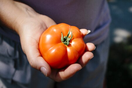 Harvest red food