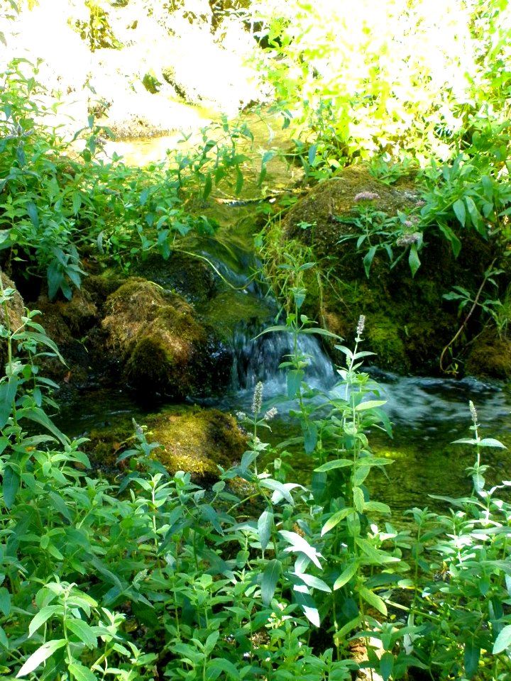 Cañada del Rudrón, La Fuentona 3