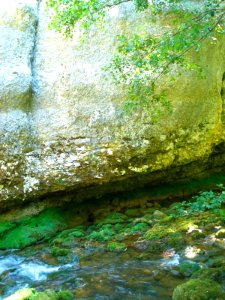Cañada del Rudrón 48