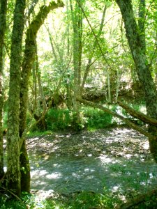 Cañada del Rudrón 35