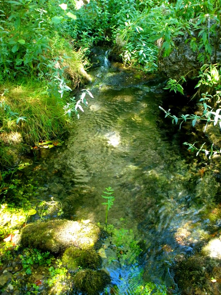 Cañada del Rudrón, La Fuentona 4