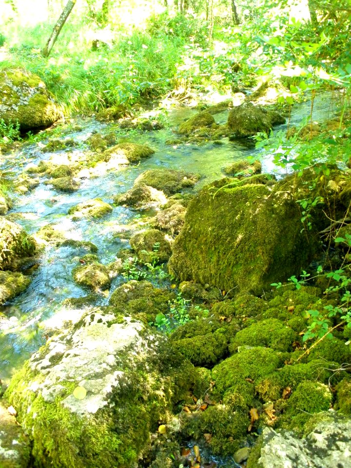 Cañada del Rudrón, La Fuentona 2