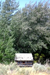 Cabin In The Woods (262405763)