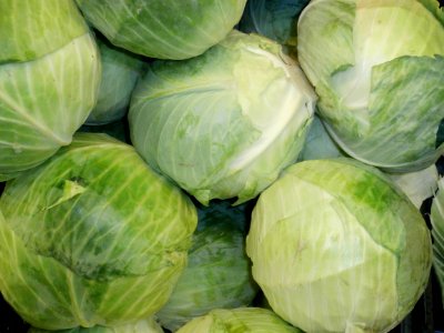 Cabbage in a stack photo