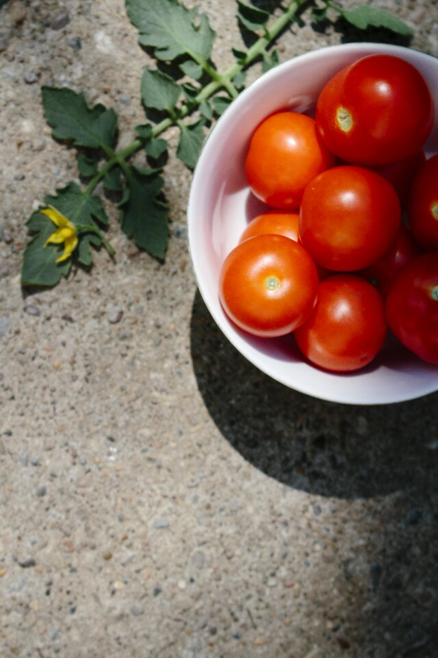 Harvest red food
