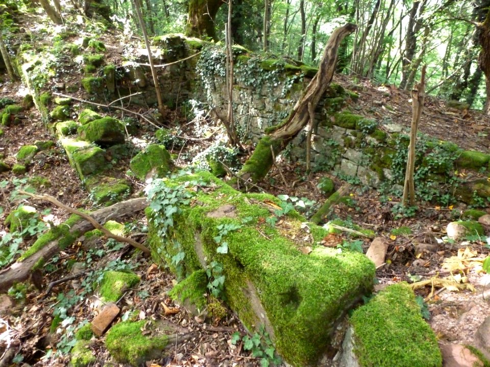 Château du Herrenstein 10