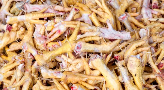 Chicken feet for sale photo